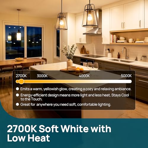A19 Dimmable LED Light Bulbs (24 Count)