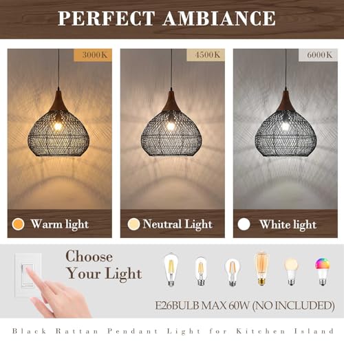 Black Rattan Pendant Light