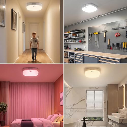 Shower Light IP65 Waterproof