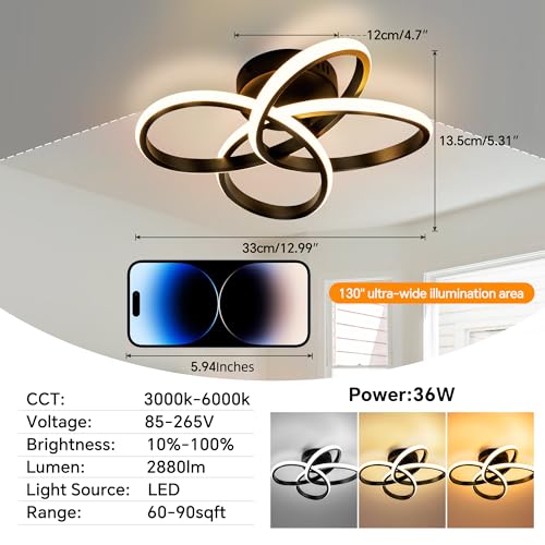 Modern Ceiling Light