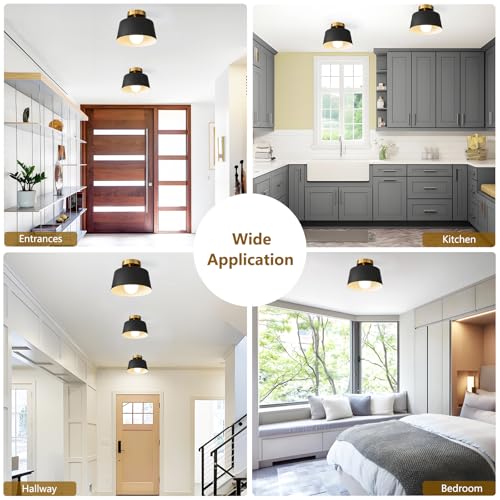 1 Pack Black and Gold Modern Semi Flush Mount Ceiling Light Fxiture 10 in