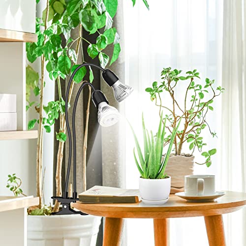 LED Grow Lights for Indoor Plants