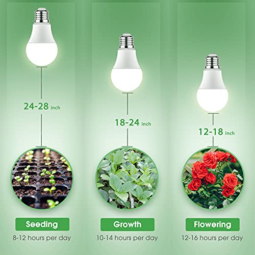 Grow Light Bulbs