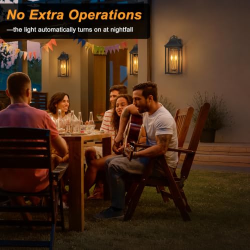 22IN Dusk to Dawn Outdoor Light
