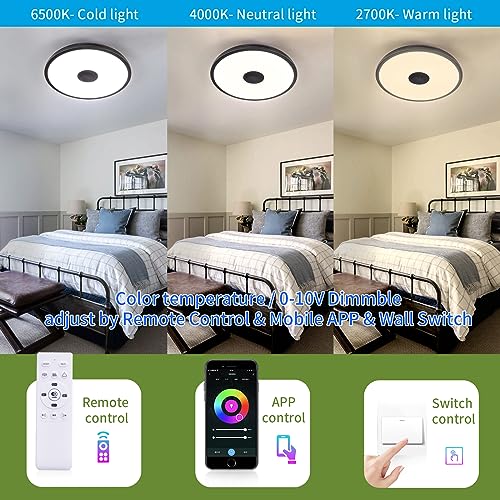 Black Smart Waterproof LED Flush Mount Ceiling Light Fixture