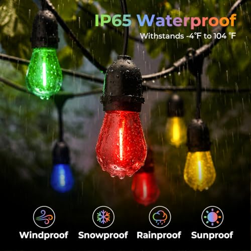 Colored Light Bulbs 64 Pack (64 Count)