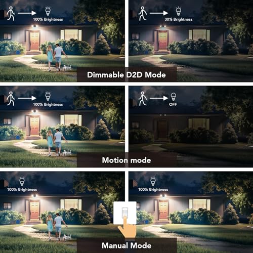 Motion Sensor Outdoor Lights