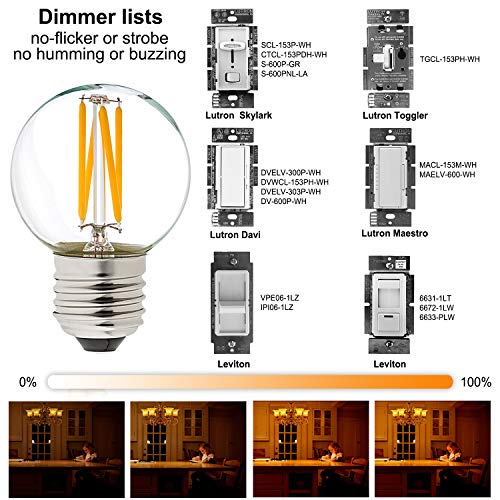 Dimmable G16.5 E26 Bulb (6 Count)