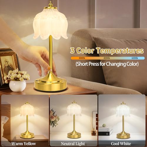Cordless Table Lamp