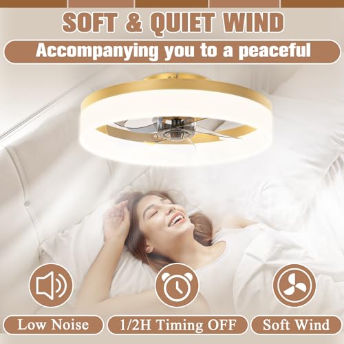 Low Profile Ceiling Fans with Lights and Remote