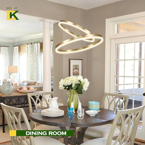 2 Rings Modern LED Chandelier Gold for Dining Room (2 Count)