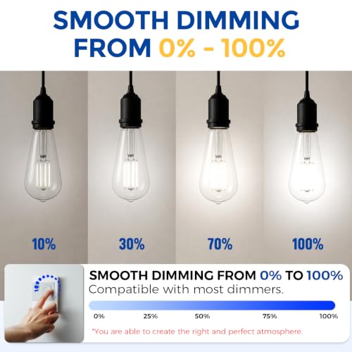 6 Pack Vintage Edison Bulbs (6 Count)