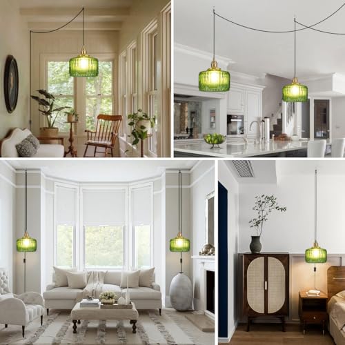 Vintage Plug in Pendant Light Fixture
