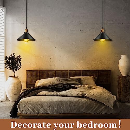 6 Pcs Industrial Pendant Light (6 Count)