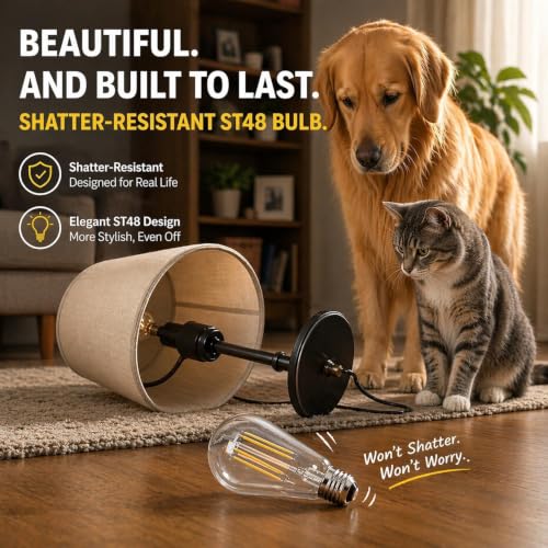 12 Pack Dimmable LED Edison Light Bulbs