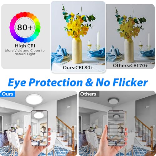 12 inch LED Ceiling Light