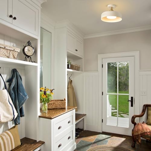 Semi Flush Mount Ceiling Light Fixture