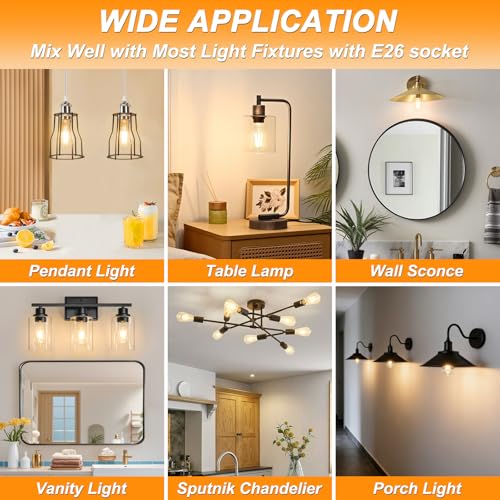 Vintage LED Edison Bulbs 6W (6 Count)