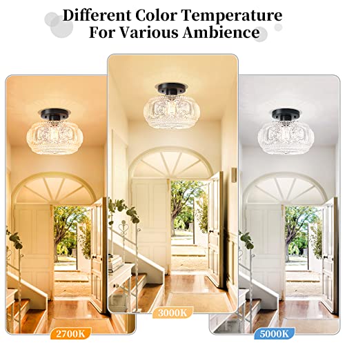 Globe Glass Semi Flush Mount Ceiling Light Fixture