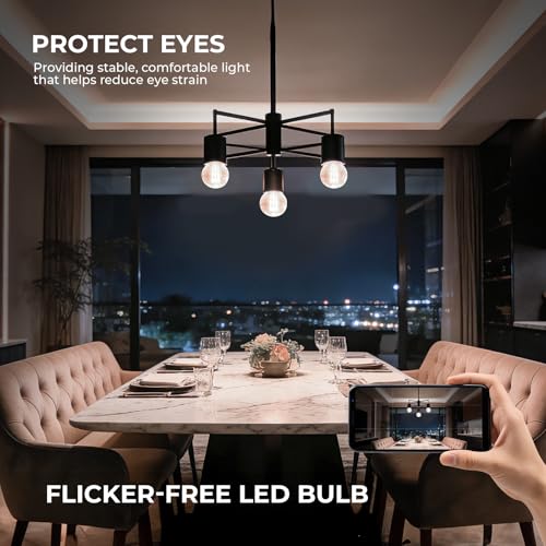 E26 G16.5 Edison Globe LED Bulb (12 Count)