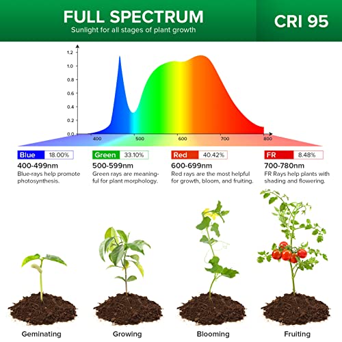 LED Grow Lights for Indoor Plants