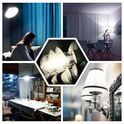 12 Pack Vintage LED Edison Bulbs (12 Count)