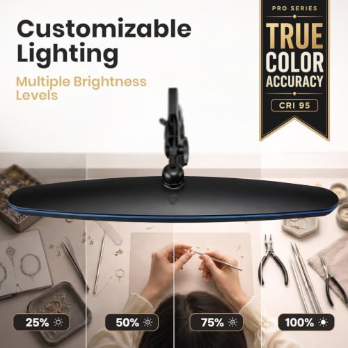 Pro Series LED Desk Lamp