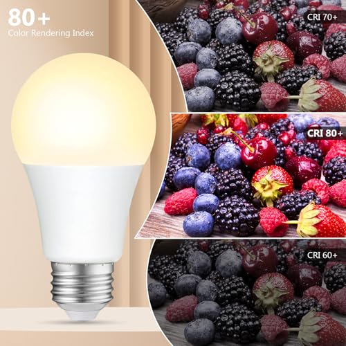 A19 LED Light Bulbs Dimmable (4 Count)