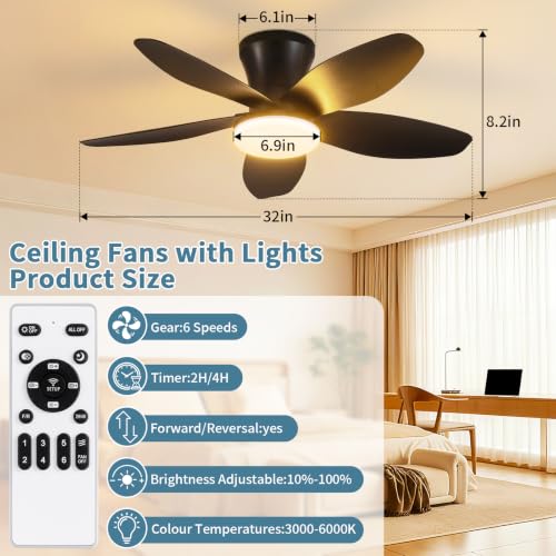 Small Ceiling Fan with Lights (32 Inch)
