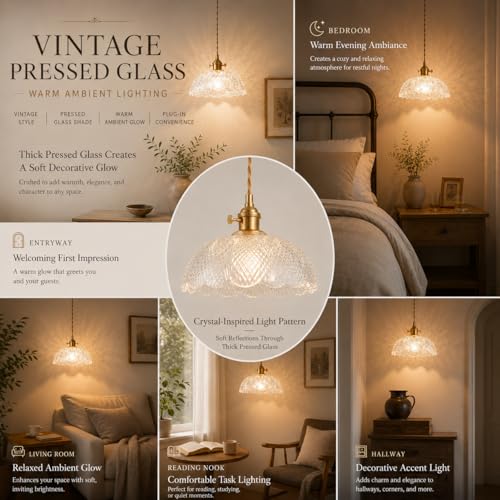 Hanging Lamp Plug in