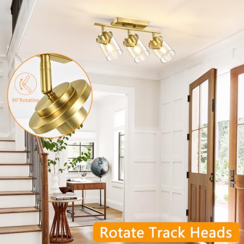 3 Lights Semi Flush Mount Ceiling Light