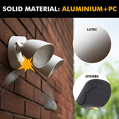 6222W 3500 Lumen 32 Watt 28 LED Dual
