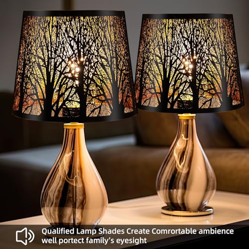Metal Lamp shades Set of 2 (2 Count)