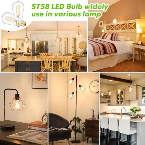 Dimmable LED Bulbs (6 Count)