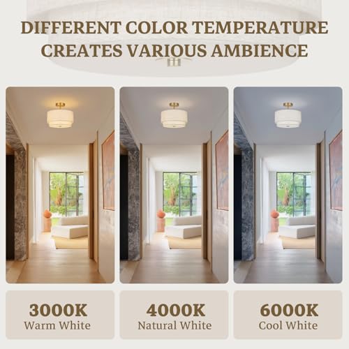 Semi Flush Mount Ceiling Light Fixture