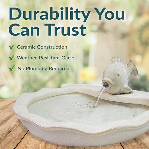 Sunnydaze 7" Fish Spout Tabletop Water Fountain