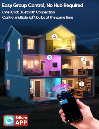 Smart A19 LED Light Bulbs (2 Count)