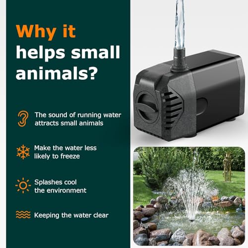 Solar Fountain Pump