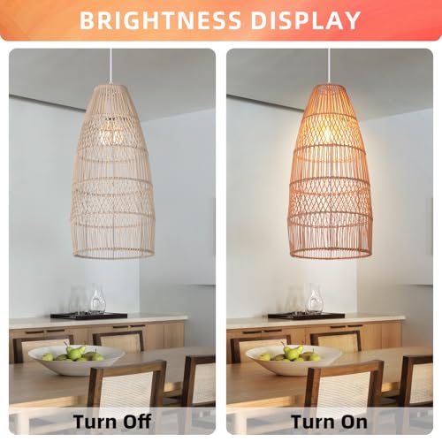 1 Light Boho Wicker Chandelier Lamp