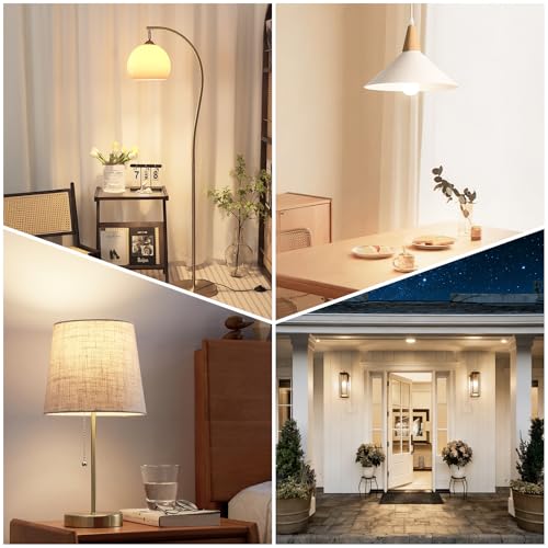 A19 LED Light Bulbs (4 Count)