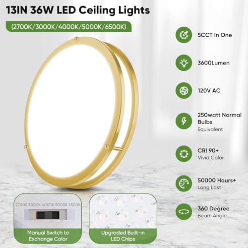 13 Inch LED Flush Mount Ceiling Light
