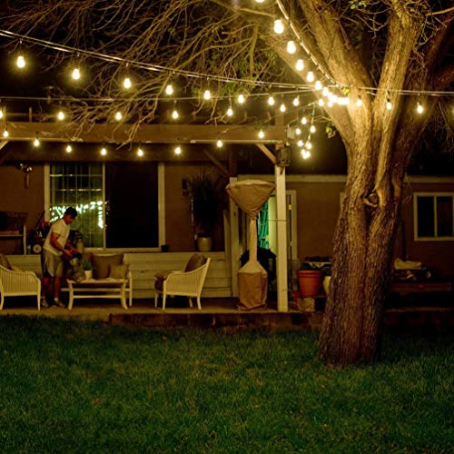 T45 Edison Bulbs (4 Count)