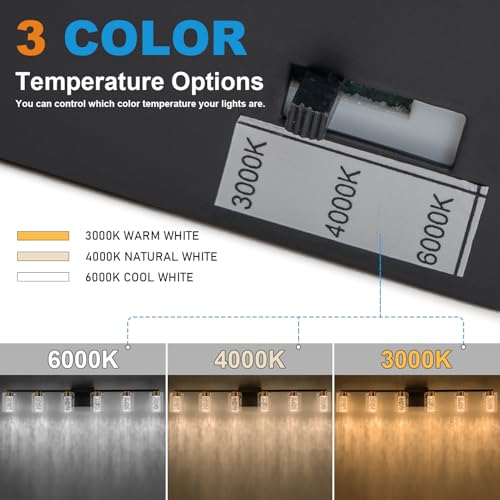 6 Light Black and Gold Vanity Light with 3 Color Modes