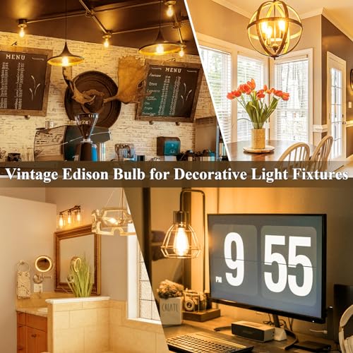 Dimmable Edison Bulbs 100W Equivalent (2 Count)
