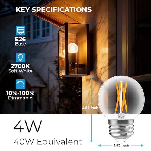 E26 G16.5 Edison LED Globe Bulb (12 Count)