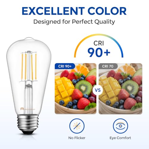6 Pack Vintage Edison Bulbs (6 Count)