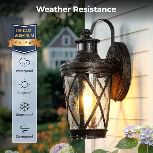 Oil Rubbed Bronze Outdoor Light Fixture (Oil-Rubbed Bronze / 1-Pack)