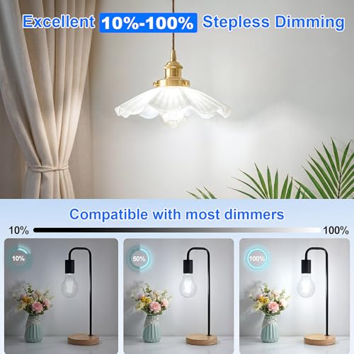 A19 Vintage LED Edison Light Bulbs (12 Count)