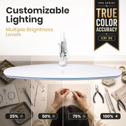 Pro Series LED Desk Lamp