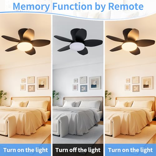 25 Inch Small Ceiling Fans with Lights (Black)